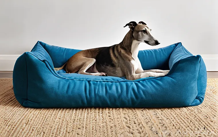 그레이하운드 달리기 능력 - **"The Architecture of Wind: Greyhound in Full Sprint"**: A magnificent Greyhound in full, powerful ...