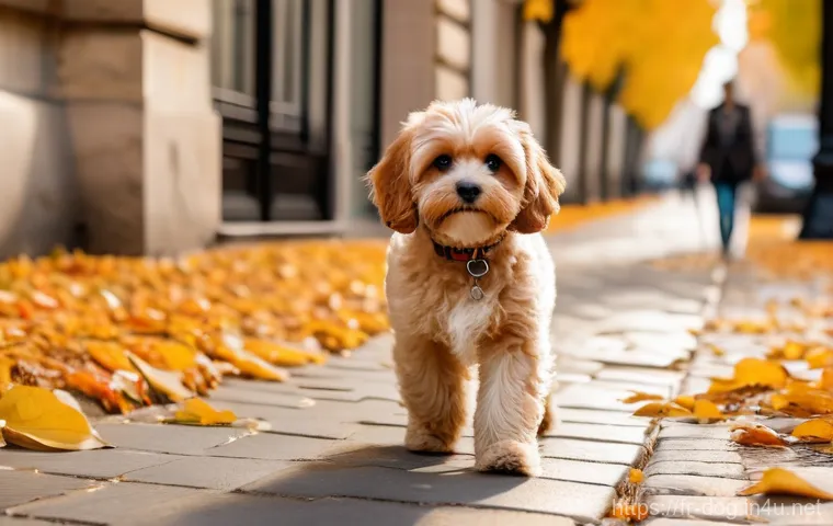 푸들 하이브리드 종류 - A charming Cavapoo, a small dog with a soft, wavy apricot-colored coat and bright, intelligent eyes,...